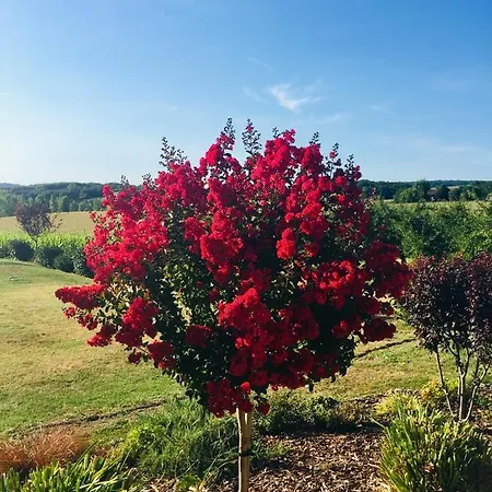 Lamamotte Gite Holiday Pinel-Hauterive