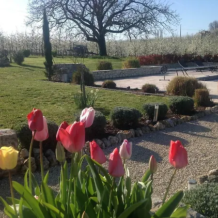 Lamamotte Gite Holiday * Pinel-Hauterive